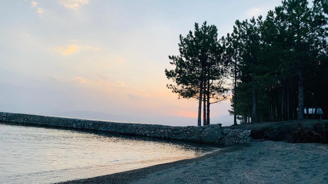 Zhayr Resort & Dive Drakhtik Buitenkant foto